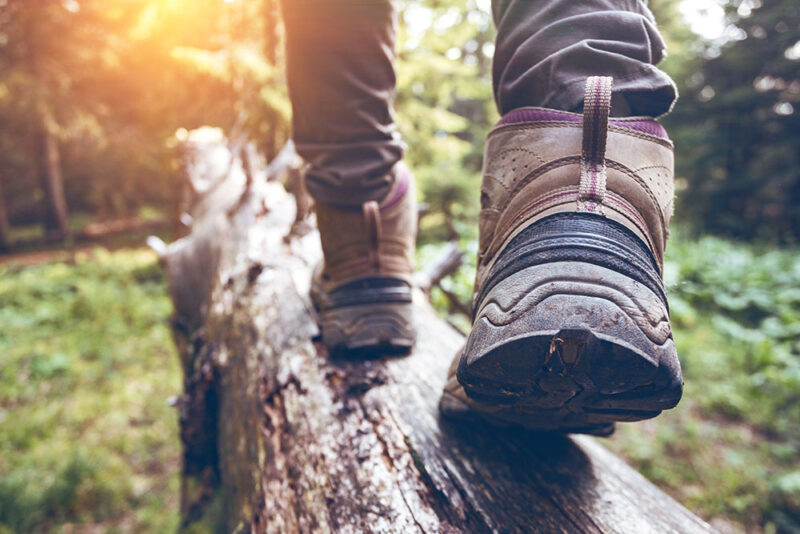 Closeup Of Person Walking on a Log